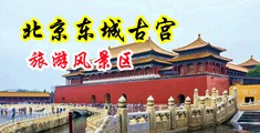 操逼啊啊啊视频中国北京-东城古宫旅游风景区